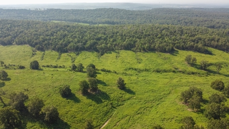 120 Acres In The Heart Of The Missouri Ozarks - image 13