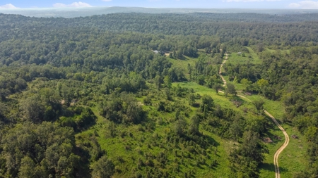 120 Acres In The Heart Of The Missouri Ozarks - image 15
