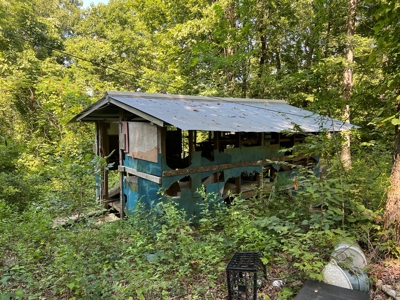 Secluded Cabin Retreat on 5 Acres in Searcy County, Arkansas - image 6