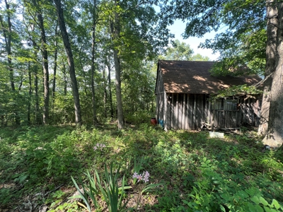 Secluded Cabin Retreat on 5 Acres in Searcy County, Arkansas - image 17