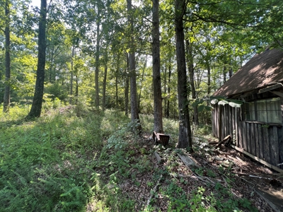 Secluded Cabin Retreat on 5 Acres in Searcy County, Arkansas - image 16