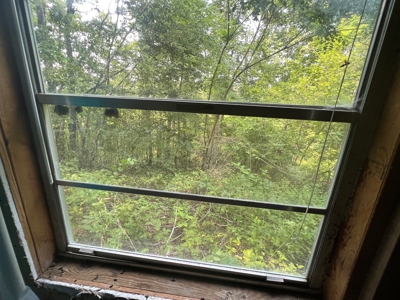Secluded Cabin Retreat on 5 Acres in Searcy County, Arkansas - image 12
