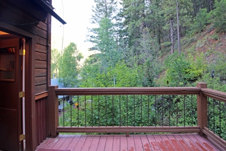 Charming Mountain Home for Sale near Dolores, Colorado! - image 4