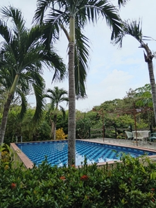 Beach property near Boca Corona close to Corona River - image 17