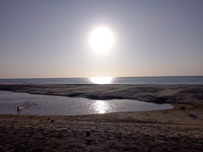 Beach property near Boca Corona close to Corona River - image 26