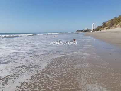 Beach property near Boca Corona close to Corona River - image 27