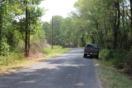 Hunting Land For Sale Lincoln County Ruth Mississippi - image 1