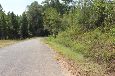 Hunting Land For Sale Lincoln County Ruth Mississippi - image 2