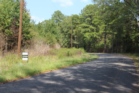 Hunting Land For Sale Lincoln County Ruth Mississippi - image 7