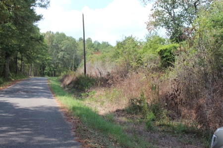 Hunting Land For Sale Lincoln County Ruth Mississippi - image 3