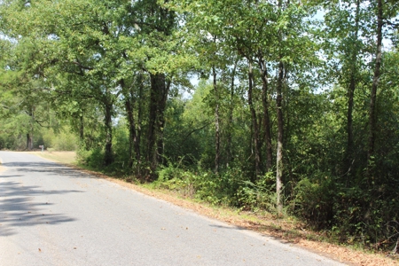 Hunting Land For Sale Lincoln County Ruth Mississippi - image 6