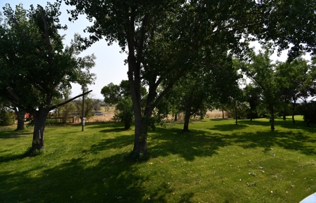 4 Bedroom 3 Baths 1.97 Acres of Privacy - image 36
