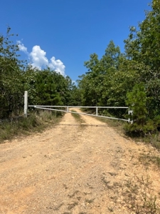 Acreage near Black River - image 7