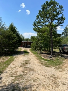Acreage near Black River - image 6