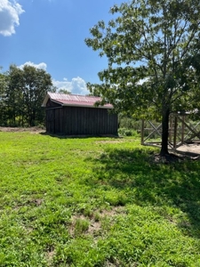 Acreage near Black River - image 3