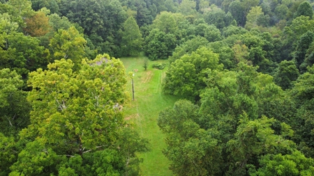 Home on 18.98 acres in Vanceburg Kentucky - image 18