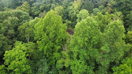 Home on 18.98 acres in Vanceburg Kentucky - image 17