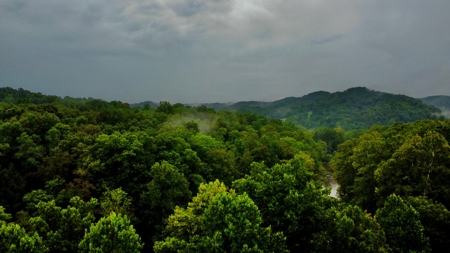 Home on 18.98 acres in Vanceburg Kentucky - image 16