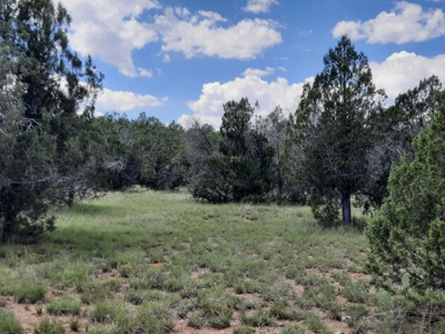 Northern Az 8 Acre Parcel On The Edge Of Remoteness - image 1