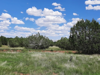 Northern Az 8 Acre Parcel On The Edge Of Remoteness - image 5