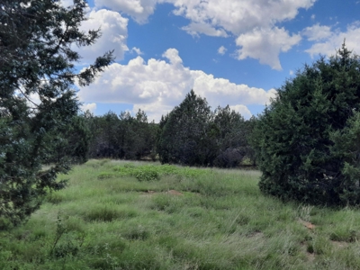 Northern Az 8 Acre Parcel On The Edge Of Remoteness - image 8