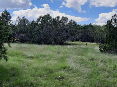 Northern Az 8 Acre Parcel On The Edge Of Remoteness - image 4