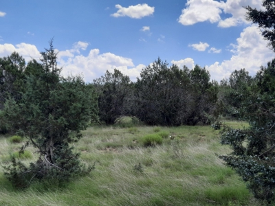 Northern Az 8 Acre Parcel On The Edge Of Remoteness - image 6