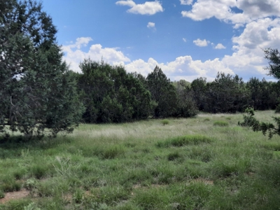 Northern Az 8 Acre Parcel On The Edge Of Remoteness - image 3