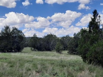 Northern Az 8 Acre Parcel On The Edge Of Remoteness - image 7