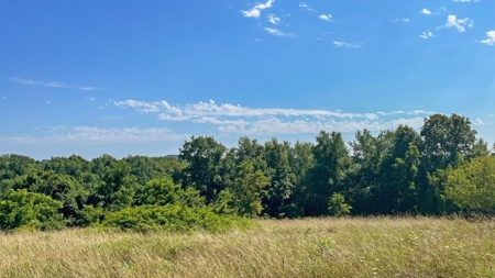Guernsey County Ohio Land for Sale - image 35