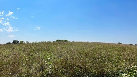 Guernsey County Ohio Land for Sale - image 33