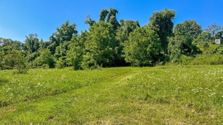 Guernsey County Ohio Land for Sale - image 44