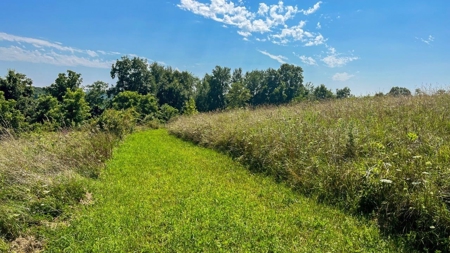 Guernsey County Ohio Land for Sale - image 36