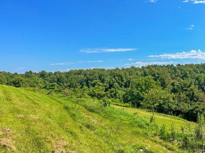 Guernsey County Ohio Land for Sale - image 39