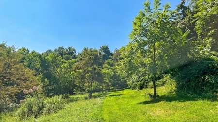 Guernsey County Ohio Land for Sale - image 45