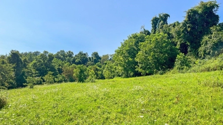 Guernsey County Ohio Land for Sale - image 42