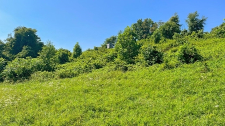 Guernsey County Ohio Land for Sale - image 41