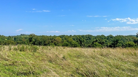 Guernsey County Ohio Land for Sale - image 34