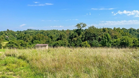 Guernsey County Ohio Land for Sale - image 32