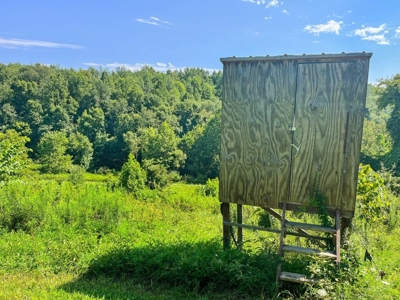 Guernsey County Ohio Land for Sale - image 40