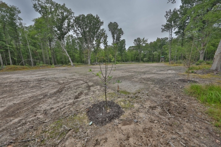 Hunting Camp for Sale in Clark County, Wisconsin - image 35