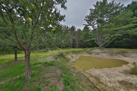 Hunting Camp for Sale in Clark County, Wisconsin - image 38