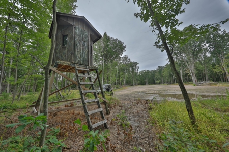 Hunting Camp for Sale in Clark County, Wisconsin - image 26