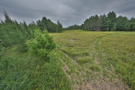 Hunting Camp for Sale in Clark County, Wisconsin - image 27