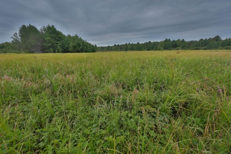 Hunting Camp for Sale in Clark County, Wisconsin - image 43