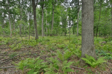 Hunting Camp for Sale in Clark County, Wisconsin - image 29