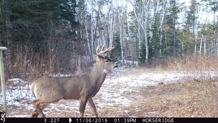 The Osage Hunting Lodge - 443 Acres In Becker County, MN - image 44