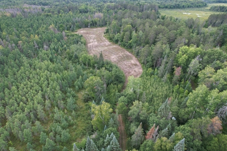The Osage Hunting Lodge - 443 Acres In Becker County, MN - image 31