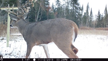 The Osage Hunting Lodge - 443 Acres In Becker County, MN - image 45