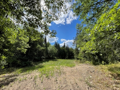 The Osage Hunting Lodge - 443 Acres In Becker County, MN - image 19